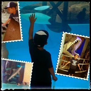 Meet your Posher, Bee